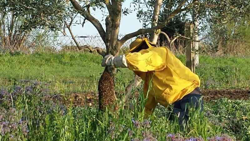 مبيت وإفطار سرمونيتا Casale Cavatella المظهر الخارجي الصورة
