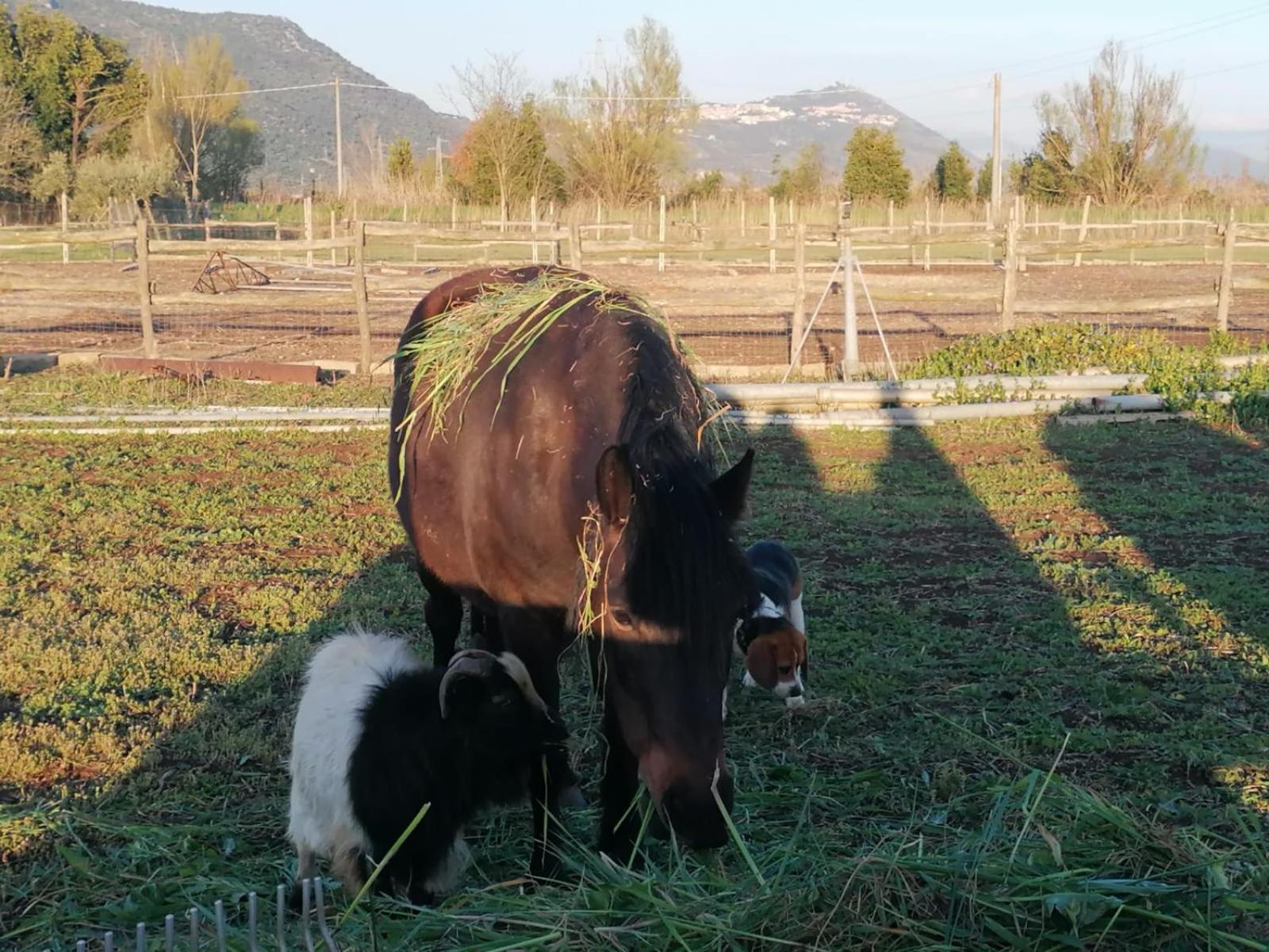 مبيت وإفطار سرمونيتا Casale Cavatella المظهر الخارجي الصورة