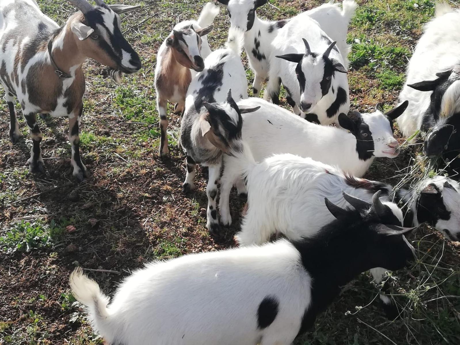 مبيت وإفطار سرمونيتا Casale Cavatella المظهر الخارجي الصورة
